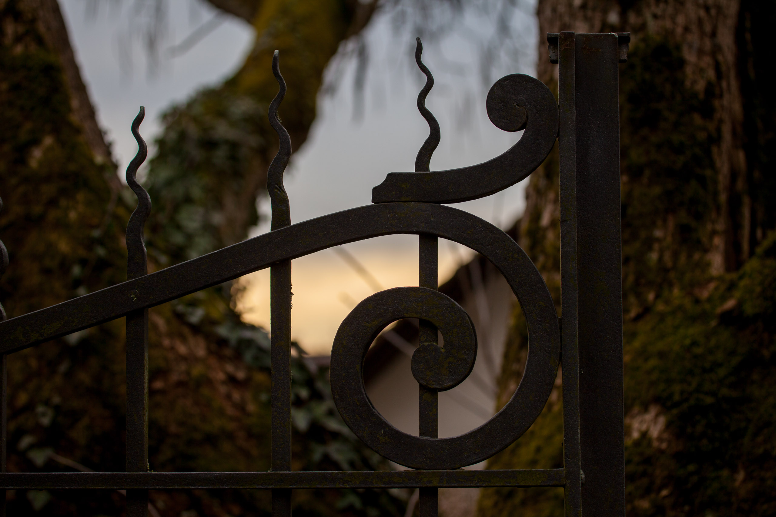 20110313133837 IMG 7283